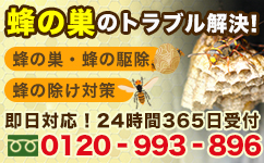 蜂の巣駆除 蜂の駆除 蜂のトラブル! 0120-993-896/24時間対応/携帯OK